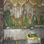 Vraj-Yatra-2014- (1427)